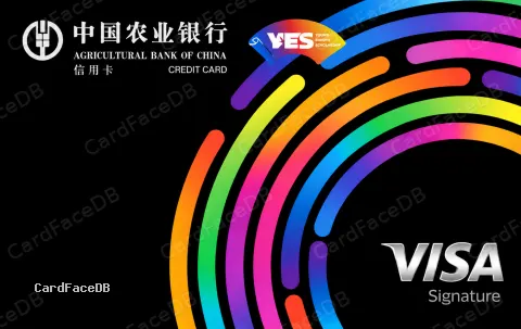 YES遇见